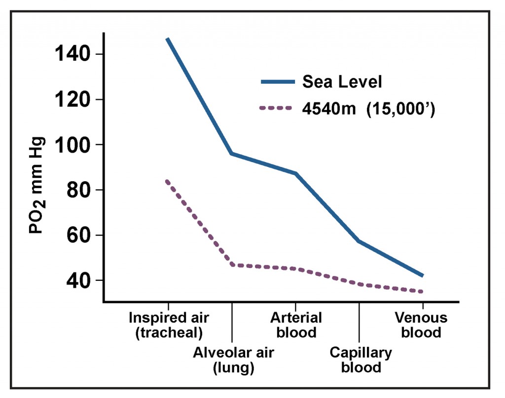 Oxygen Delivery Altitude
