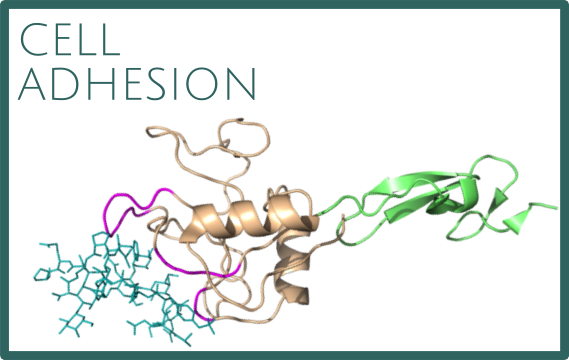 Research – test – Physics