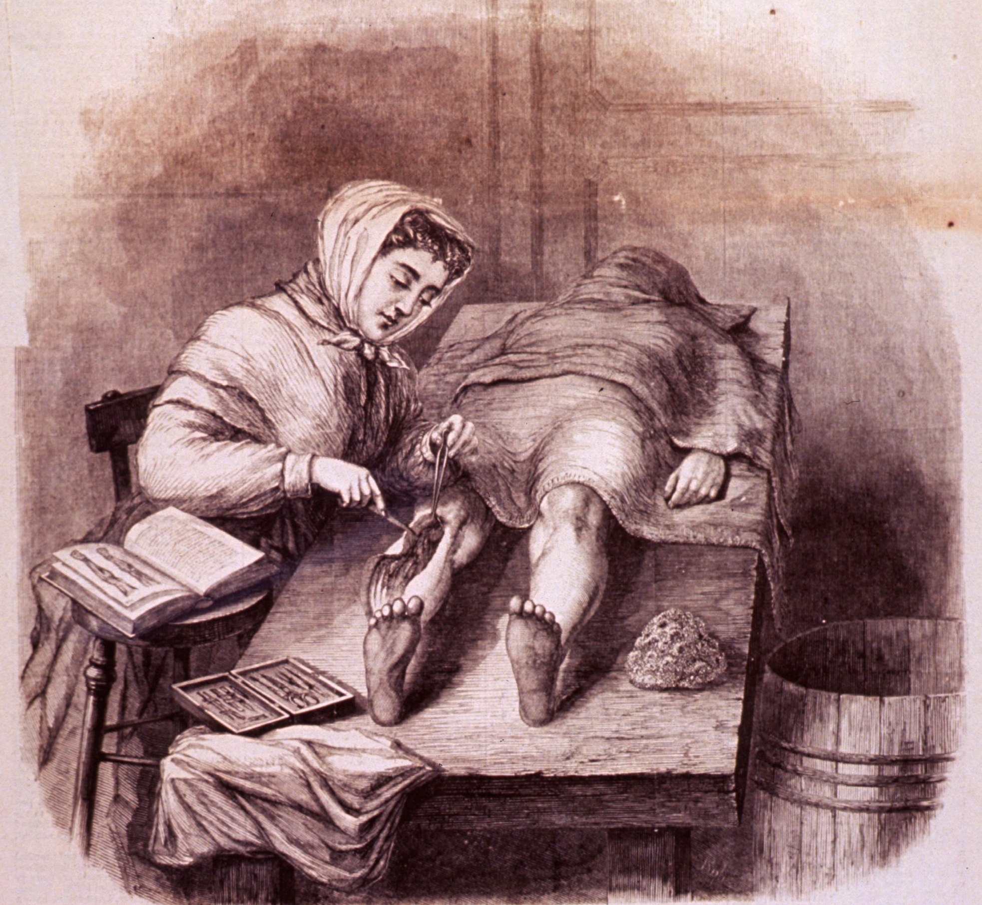 woman dissecting