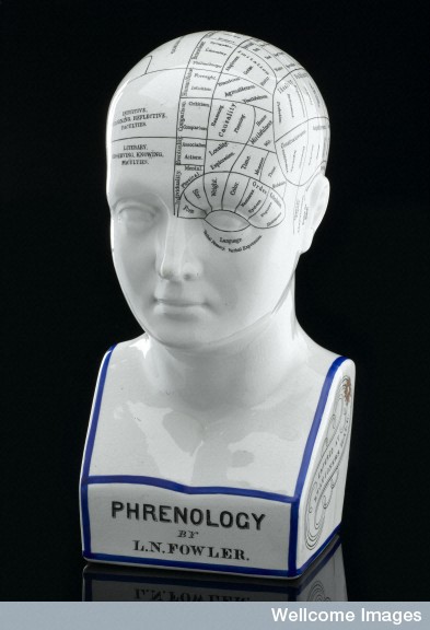 L0057592 Fowler's phrenological head, Staffordshire, England, 1879-18 Credit: Science Museum, London. Wellcome Images images@wellcome.ac.uk http://wellcomeimages.org Lorenzo Niles Fowlers (1811-96) detailed system of phrenology is shown on this phrenological head. Phrenologists believed that the shape and size of various areas of the brain (and therefore the overlying skull) determined personality. For instance, the area under the right eye relates to language and verbal memory; the desire for foods and liquids was thought to be located in front of the right ear.  Fowlers system, based on his thirty years of research throughout the world, was just one of many. He was an American phrenologist who led a revival in phrenology after its decline in the 1850s. In 1860, Fowler emigrated with his family to the United Kingdom and set upon an ambitious lecture tour. In 1887, Fowler set up the British Phrenological Society, which finally disbanded in 1967. maker: Unknown maker Place made: Staffordshire, England, United Kingdom made: 1879-1896 Published:  -  Copyrighted work available under Creative Commons Attribution only licence CC BY 4.0 http://creativecommons.org/licenses/by/4.0/