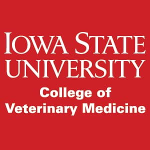 Iowa State University Logo