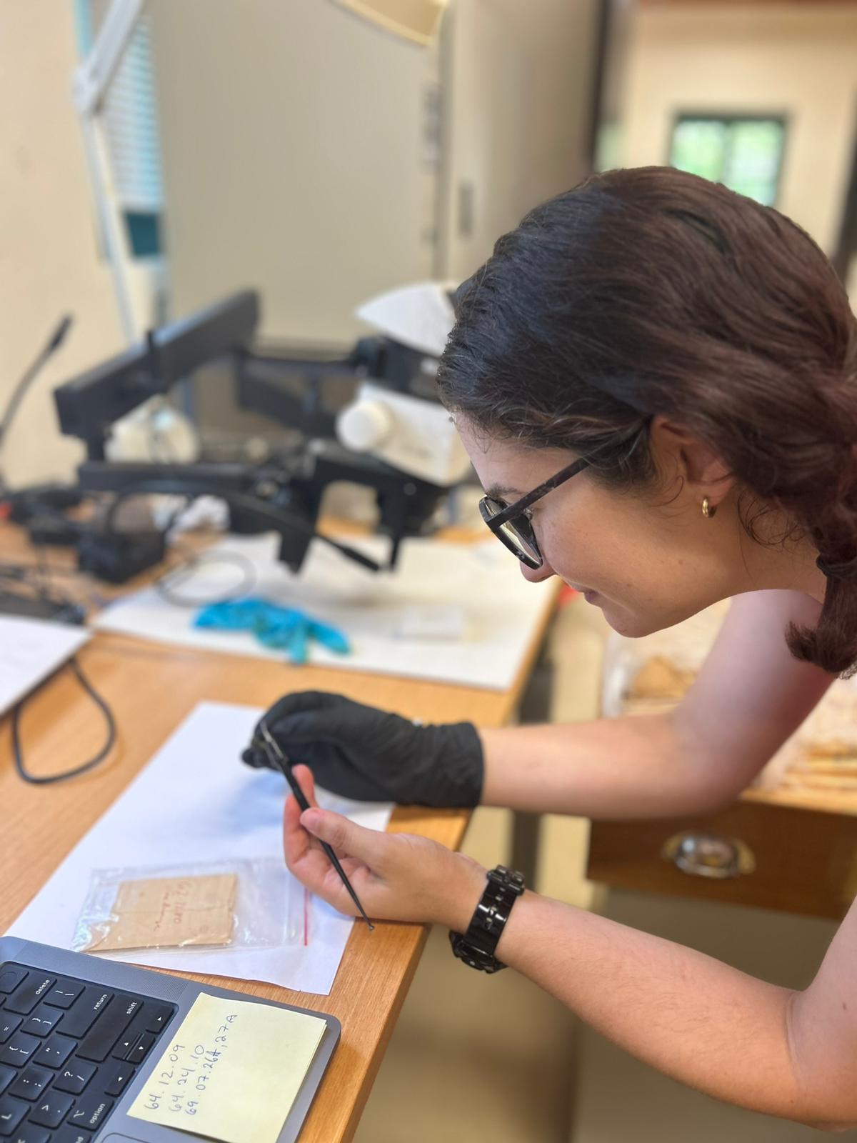 A brunette, bespectacled woman holds a dainty conservation tool, a small slip of paper in a bag beneath her hands and blurred background.