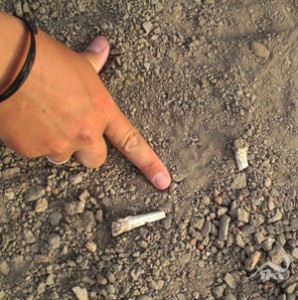 The first element of the Burtele partial foot, fourth metatarsal, as it was found on the ground in the Woranso-Mille area of the Afar region of Ethiopia. © The Cleveland Museum of Natural History, Photo courtesy: Yohannes Haile-Selassie - See more at: http://artsci.case.edu/news/news-2/fossil-discovery-reveals-lucy-lived-near-another-human-ancestor#sthash.76HRt01i.dpuf