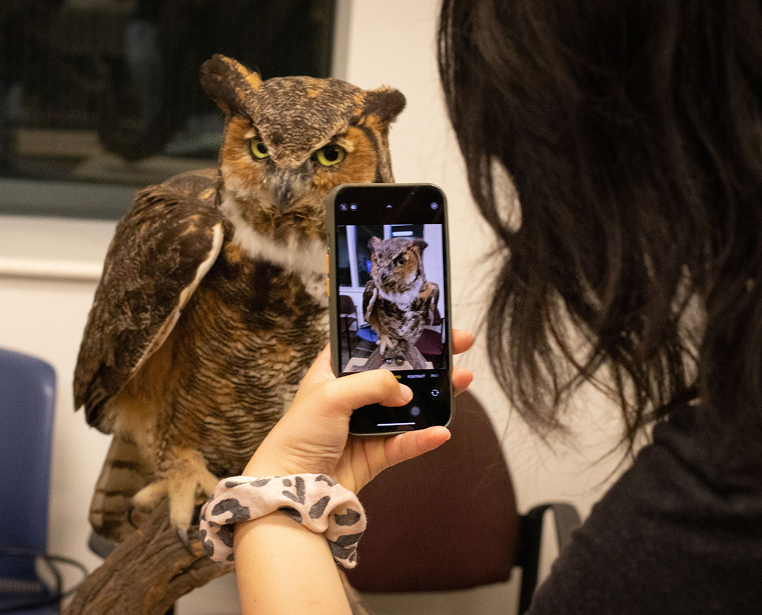 Looking over a student's shoulder who has an owl up close in her view finder with the owl in the background.