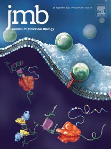 cover illustration for Journal of Molecular Biology Volume 429 Issue 19